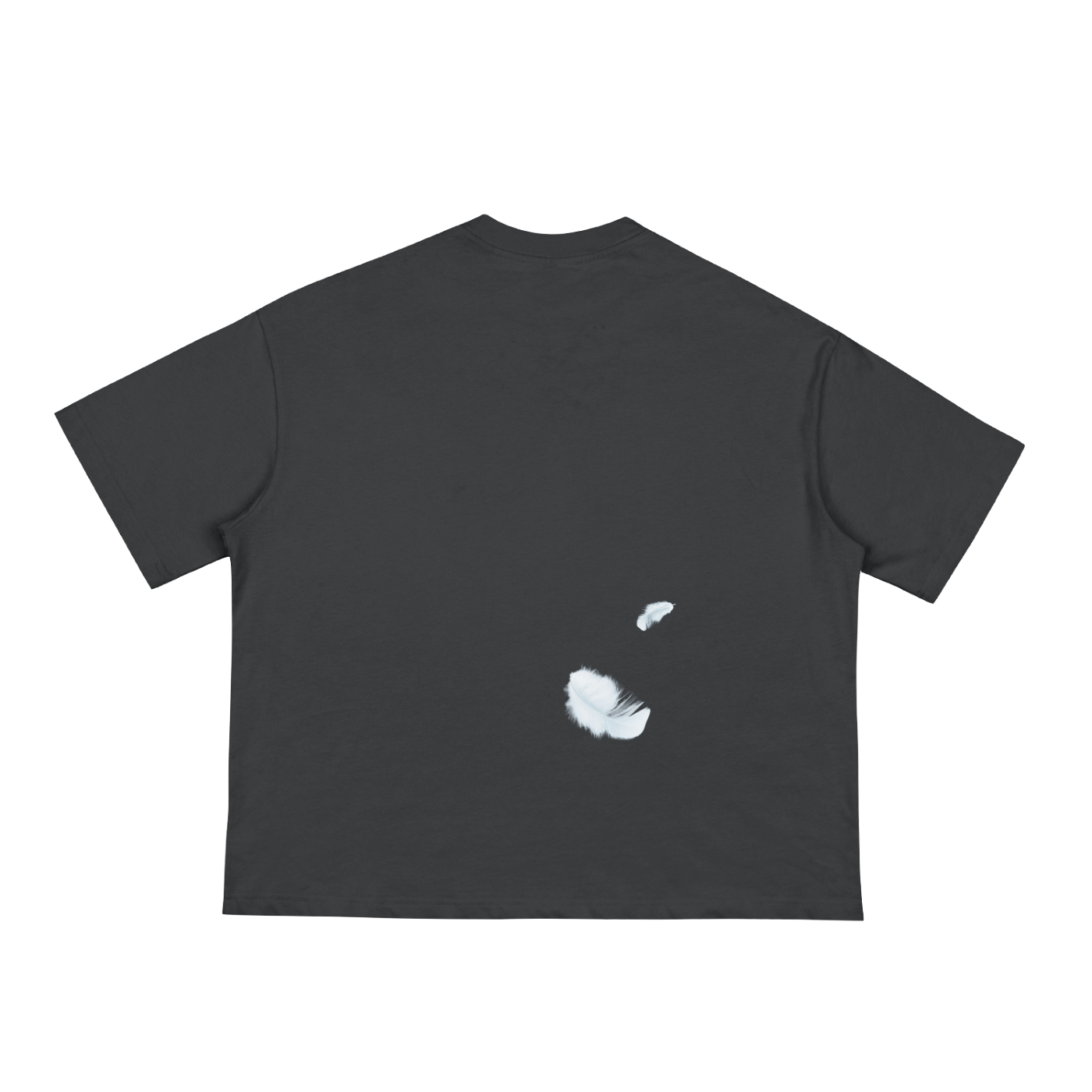 feathers boxy tee tees-clo